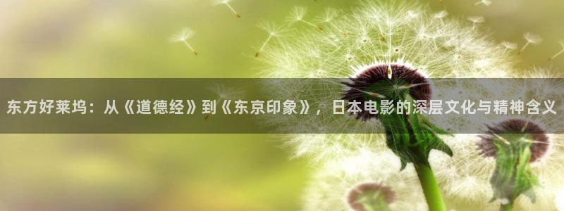 电视剧极速救援全集在线观看免费