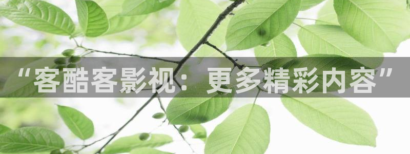 影视工厂极速蓝光1080：“客酷客影视：更多精彩内容”