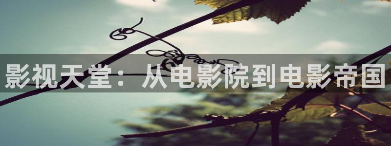 69影院极速版在线观看：影视天堂：从电影院到电影帝国