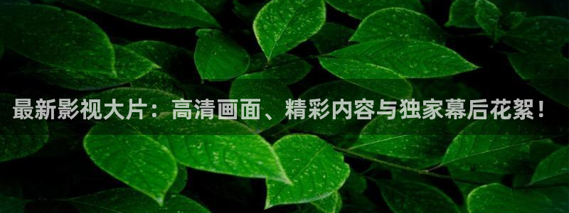 影视工厂极速蓝光电视剧：最新影视大片：高清画面、精彩内容与独家幕后花絮！