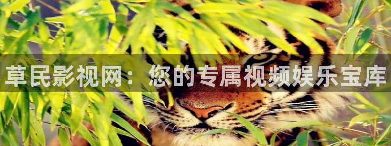 极速影视下载：草民影视网：您的专属视频娱乐宝库