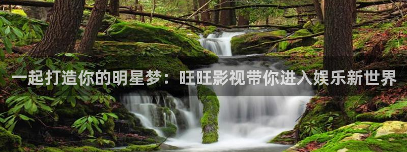 极速影院在线观看完整版高清